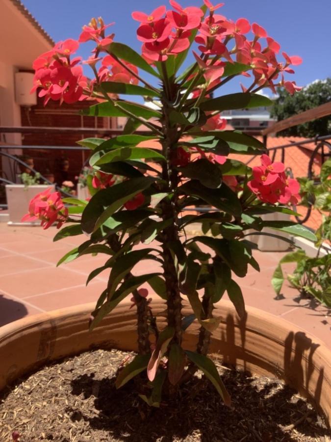 קוצ'במבה Casa San Martin Suites מראה חיצוני תמונה