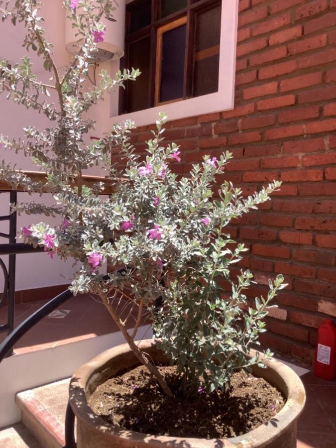 קוצ'במבה Casa San Martin Suites מראה חיצוני תמונה